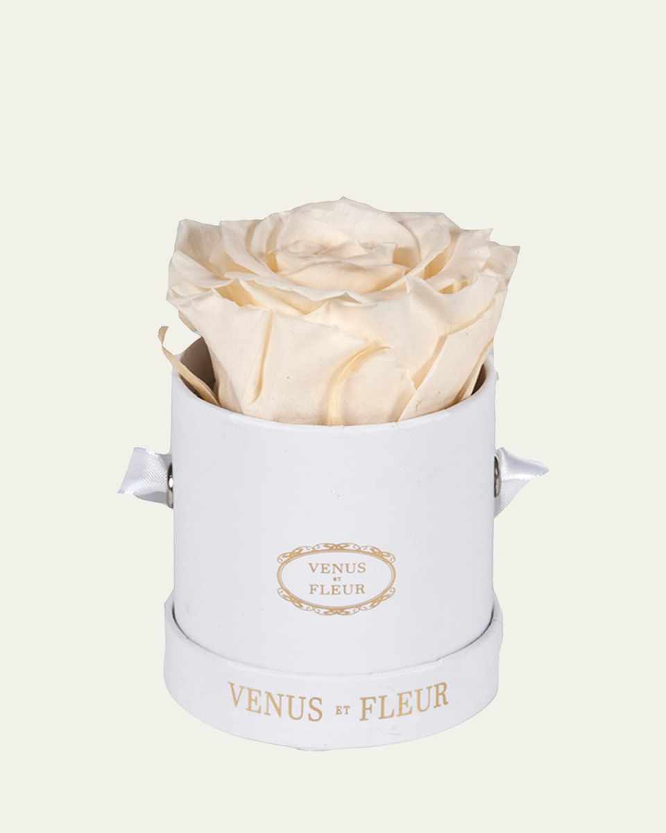 Classic Mini Round Rose Box